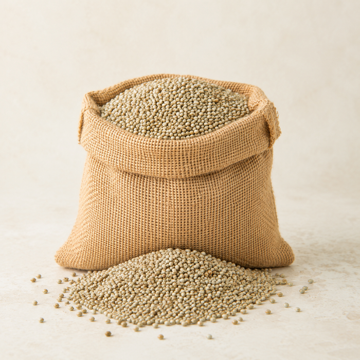Pearl Millet (Bajra) for wholesale and export supply